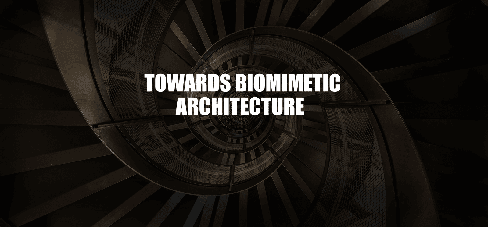 Towards Biomimetic Architecture