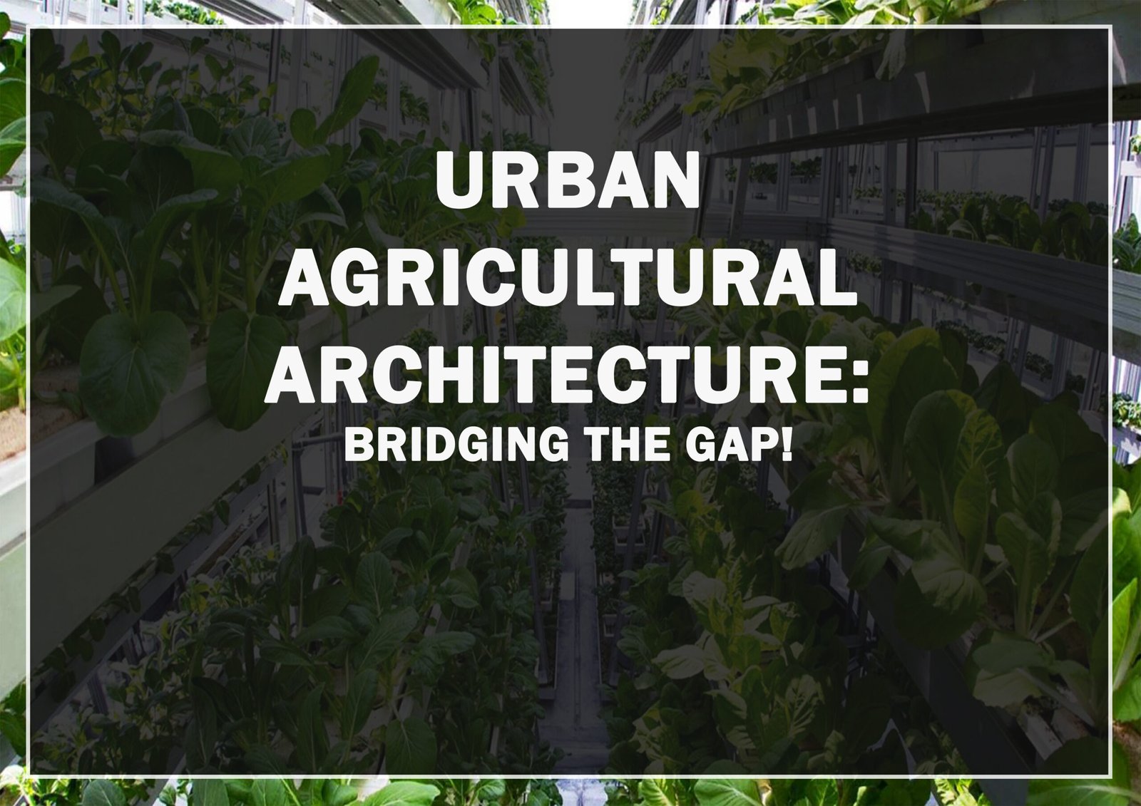 Bridging The Gap: Urban Agricultural Architecture