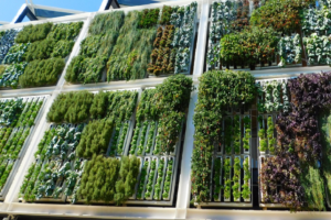 vertical garden 02