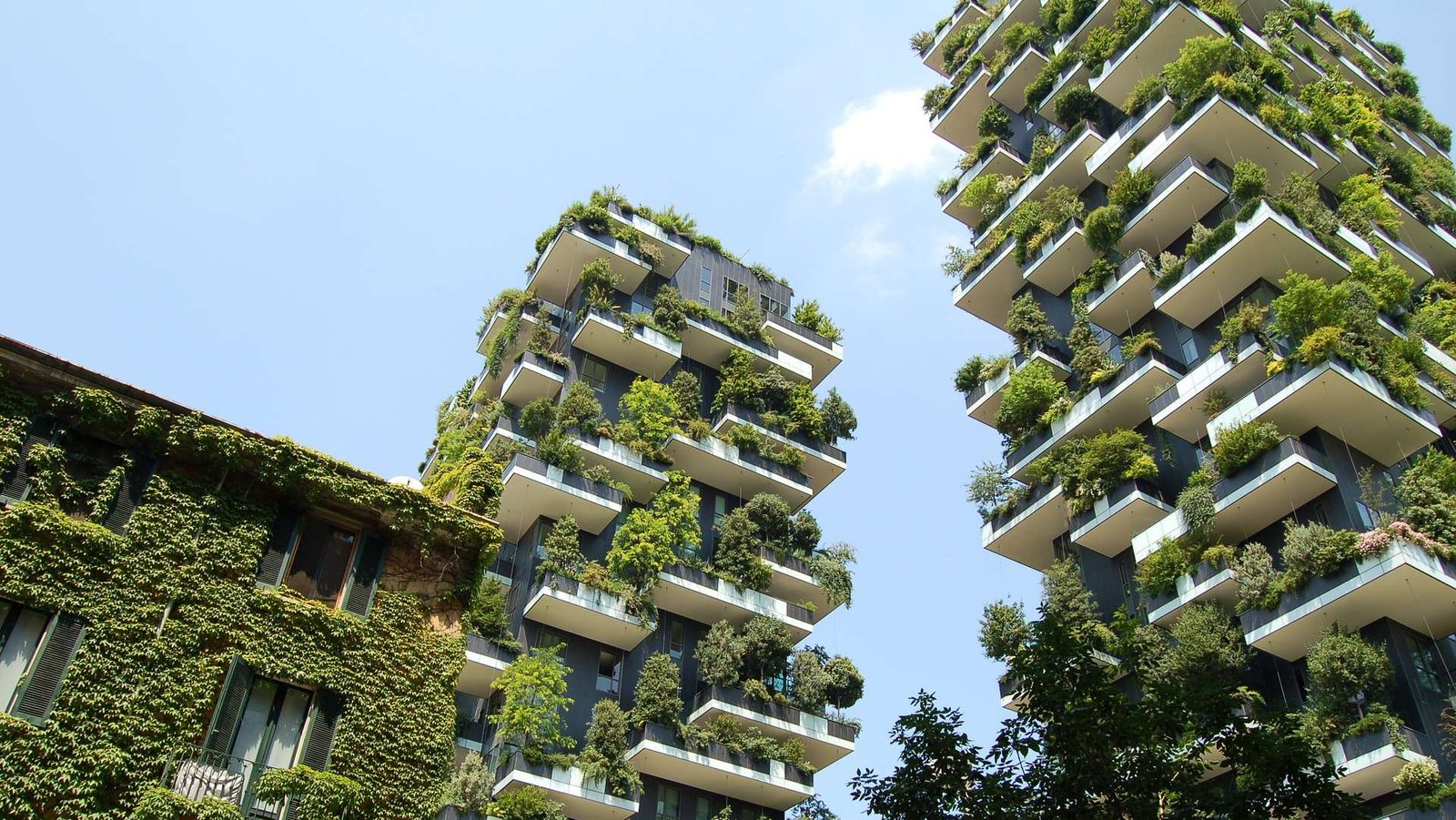 Why Do We Need ‘Green Infrastructure’?