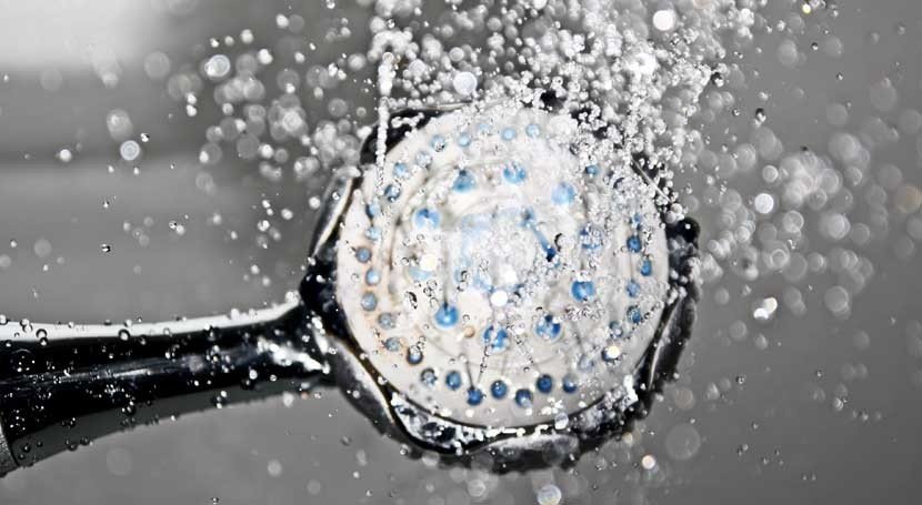 shower spray