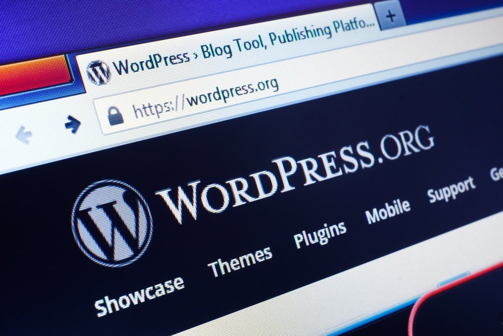WordPress Plugins Make Websites Vulnerable