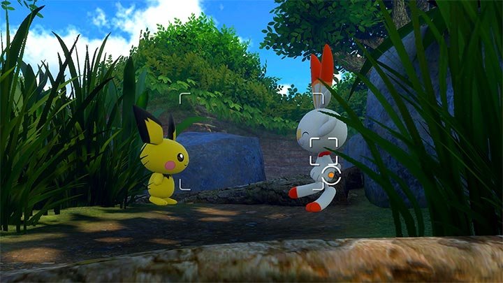 pokemon snap switch