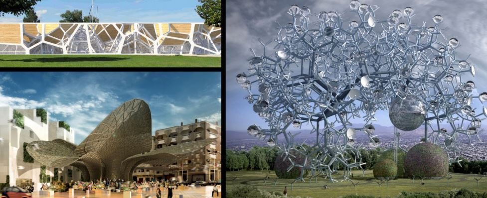 Genetics And Architecture