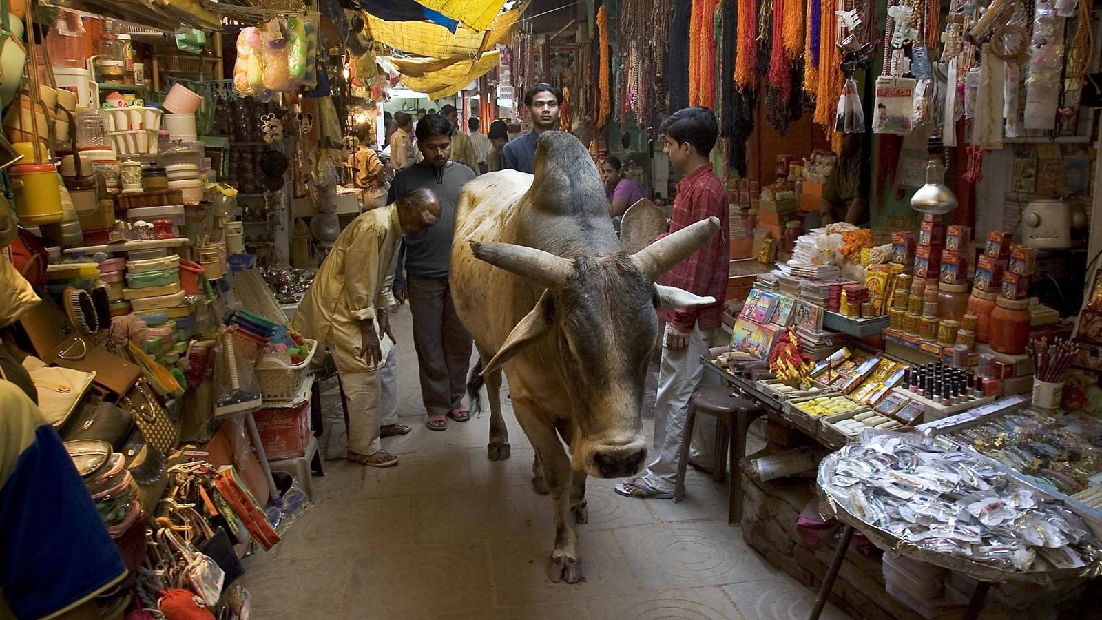 varanasi1820 092917041441 1