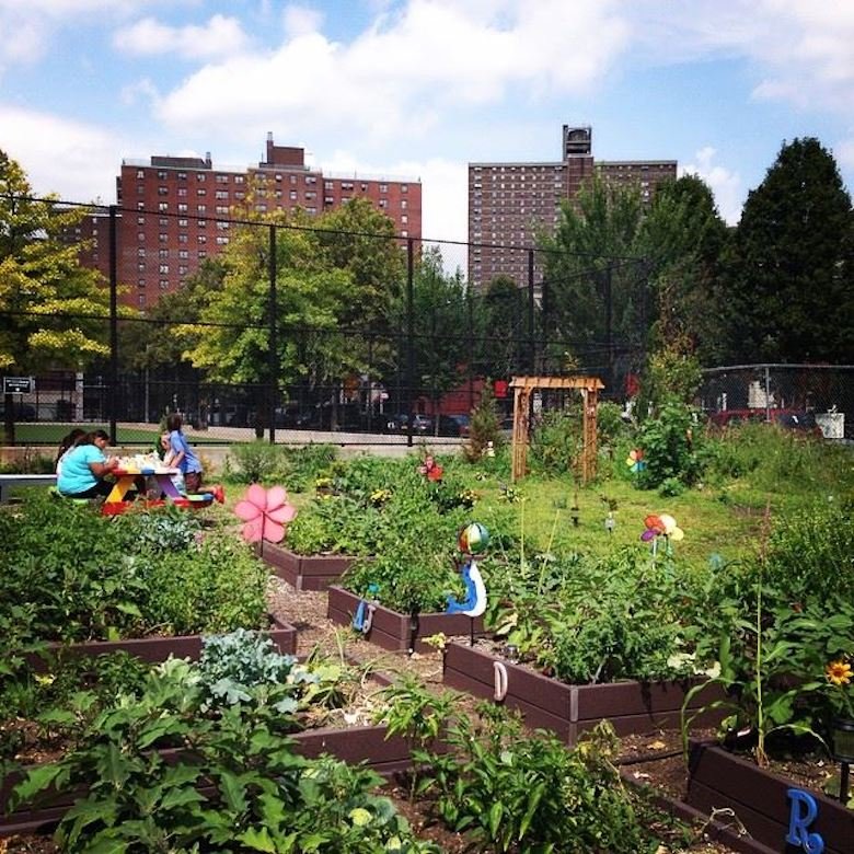 Edible Public Spaces