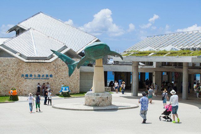Churaumi Aquarium MG 8036