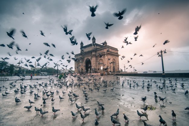 The Bombay that’s Nestled in Mumbai